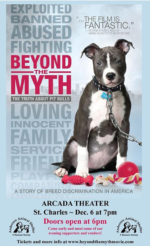 Beyond the Myth DVD Movie Poster