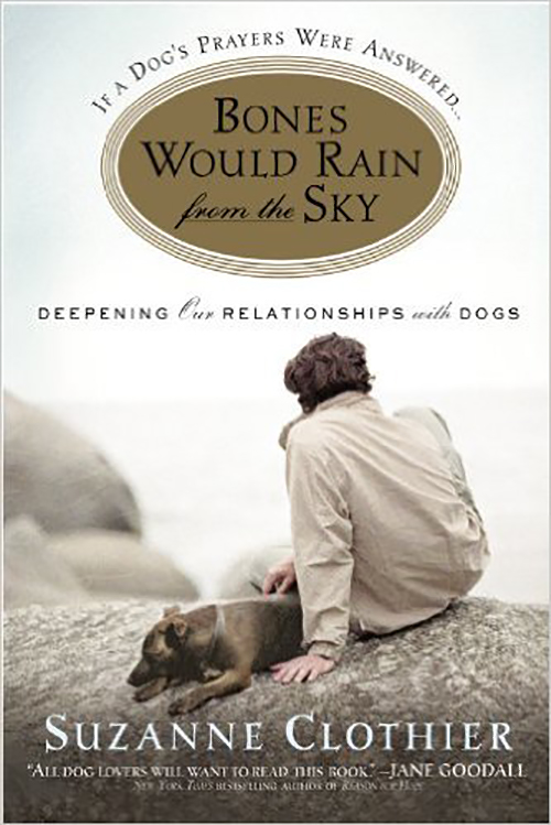 Bones Would Rain from the Sky Book Cover