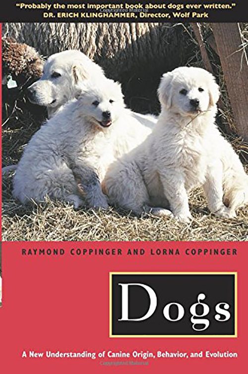 Dogs: A New Understanding of Canine Origin, Behavior and Evolution Book Cover