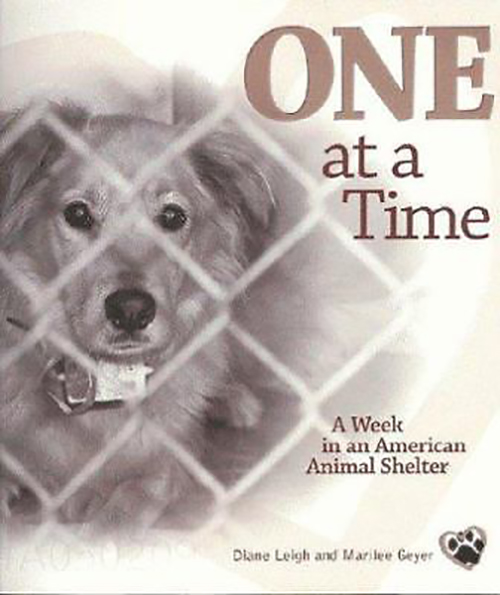 One at a Time Book Cover