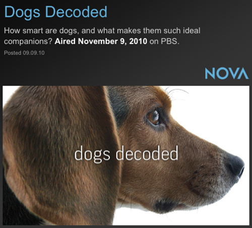 NOVA: Dogs Decoded DVD Cover