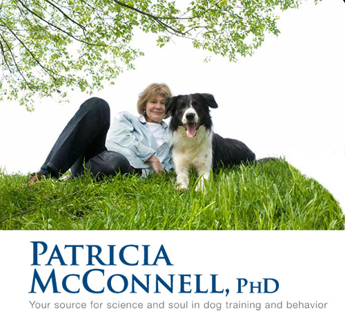 Patricia McConnell Logo