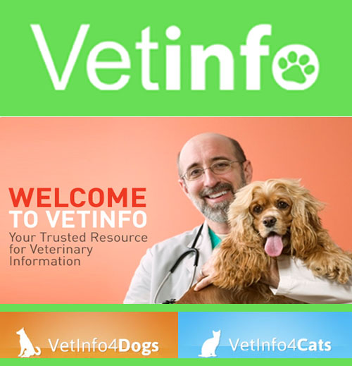 Vet Info Logo